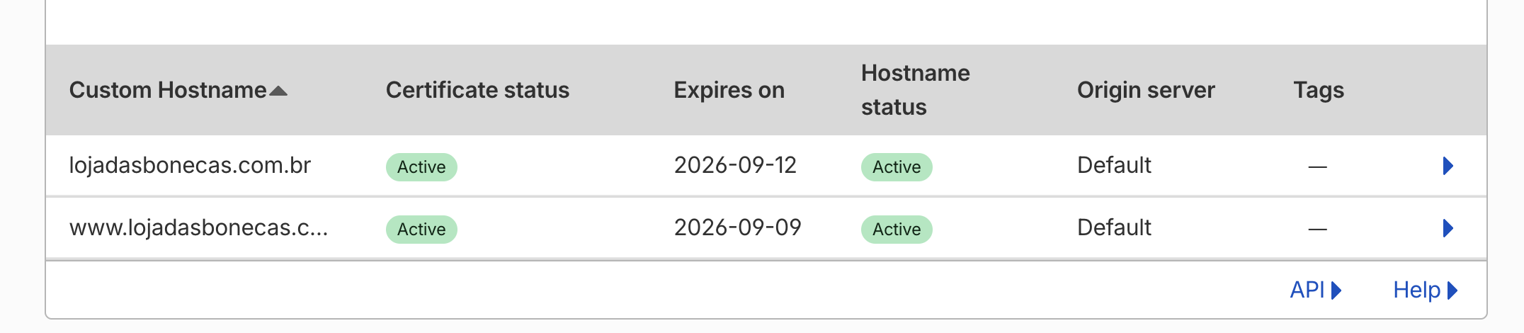 Tabela de Custom Hostnames cadastrados com e sem www no Cloudflare